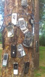 post-35181-0-71387900-1444415244_thumb.j