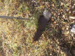 post-35545-0-62502800-1444566407_thumb.j