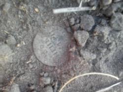 post-35611-0-76522400-1445270196_thumb.j