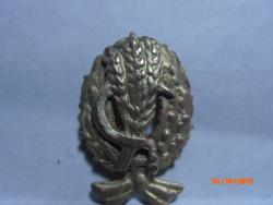 post-35613-0-79671600-1446296188_thumb.j