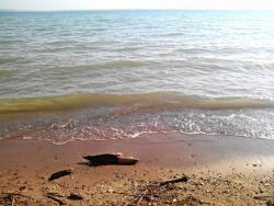 post-4119-0-26704800-1444378970_thumb.jp