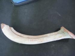 post-5856-0-49918700-1444489578_thumb.jp