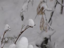 blogentry-1724-0-61757700-1290055081_thu