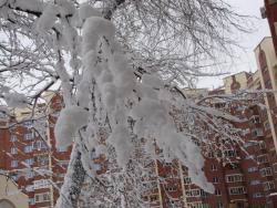 blogentry-1724-0-65953400-1290055100_thu