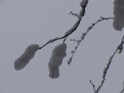 blogentry-1724-0-77556400-1290055088_thu