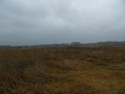 post-1023-0-96562100-1288880255_thumb.jp