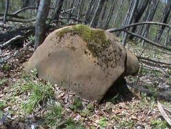 post-1677-0-98568500-1290398451_thumb.jp