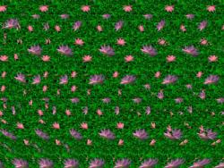 post-1724-0-01767000-1290436918_thumb.jp