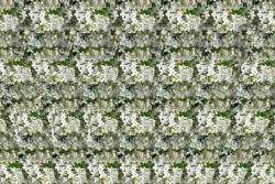 post-1724-0-89533600-1290436932_thumb.jp