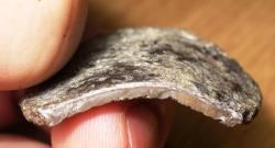 post-1788-0-08653200-1290010741_thumb.jp