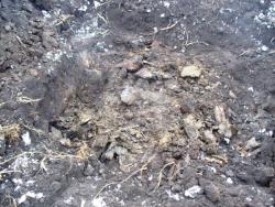 post-1788-0-33037800-1289746269_thumb.jp