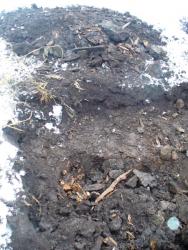 post-1788-0-56393700-1289746256_thumb.jp