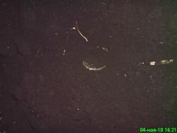 post-1788-0-82220200-1288881671_thumb.jp