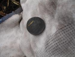 post-2084-0-88661800-1289051456_thumb.jp