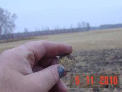 post-2202-0-73630600-1288950054_thumb.jp