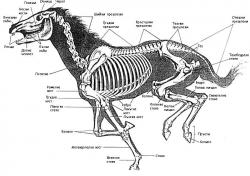 post-2202-0-76719000-1289487071_thumb.jp
