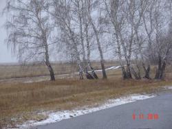 post-2202-0-80988300-1289264333_thumb.jp