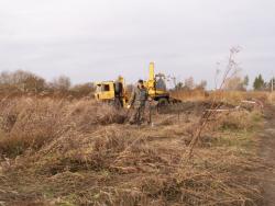 post-2349-0-16114700-1288707207_thumb.jp