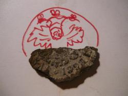 post-2349-0-84578500-1289052642_thumb.jp