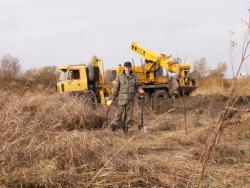 post-2349-0-96130500-1288707257_thumb.jp