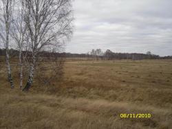 post-2898-0-79045700-1289036781_thumb.jp