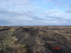 post-3052-0-66849800-1290840375_thumb.jp