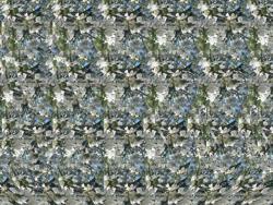 post-3757-0-69415500-1290402012_thumb.jp