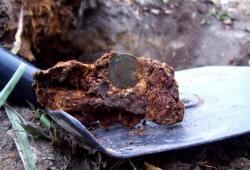 post-4269-0-06696700-1288711684_thumb.jp