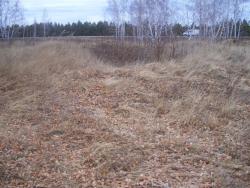 post-4269-0-07035200-1290875328_thumb.jp