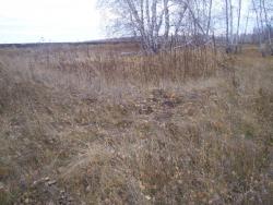 post-4269-0-31811000-1290875946_thumb.jp