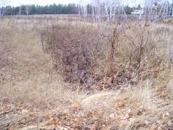 post-4269-0-33058500-1290875222_thumb.jp