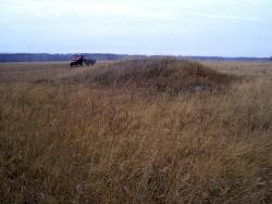 post-4269-0-39747300-1290871658_thumb.jp