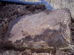 post-4269-0-43771000-1289912980_thumb.jp