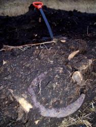 post-4269-0-66499900-1290000818_thumb.jp