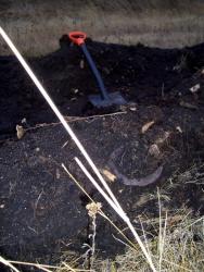 post-4269-0-74305700-1290000785_thumb.jp