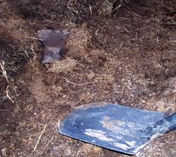 post-4269-0-75354000-1289914407_thumb.jp