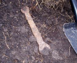 post-4269-0-85081300-1289913656_thumb.jp