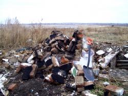 post-4269-0-96283300-1289660395_thumb.jp