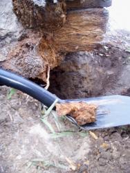 post-4269-0-96861100-1288711581_thumb.jp