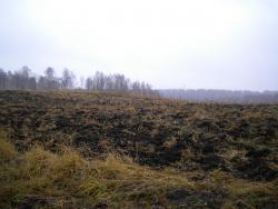 post-4632-0-69080700-1288876698_thumb.jp