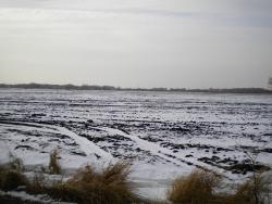 post-4632-0-85741900-1289743741_thumb.jp