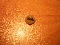 post-4773-0-97604100-1290425220_thumb.jp