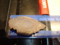 post-4840-0-57567900-1289307719_thumb.jp