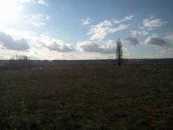 post-4855-0-46544300-1291134730_thumb.jp