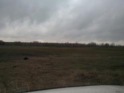 post-4855-0-78676500-1290955782_thumb.jp