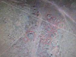 post-4872-0-97024300-1289994329_thumb.jp