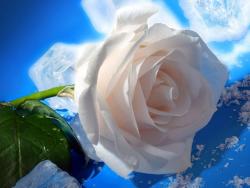 post-1724-0-78107400-1321119980_thumb.jp