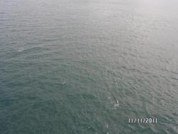 post-2817-0-58495300-1321040462_thumb.jp