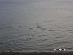 post-2817-0-88261700-1321040472_thumb.jp