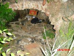 post-3025-0-30684200-1321442408_thumb.jp